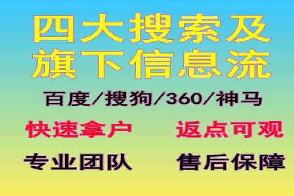 SEM运营推广策略：成功案例解析